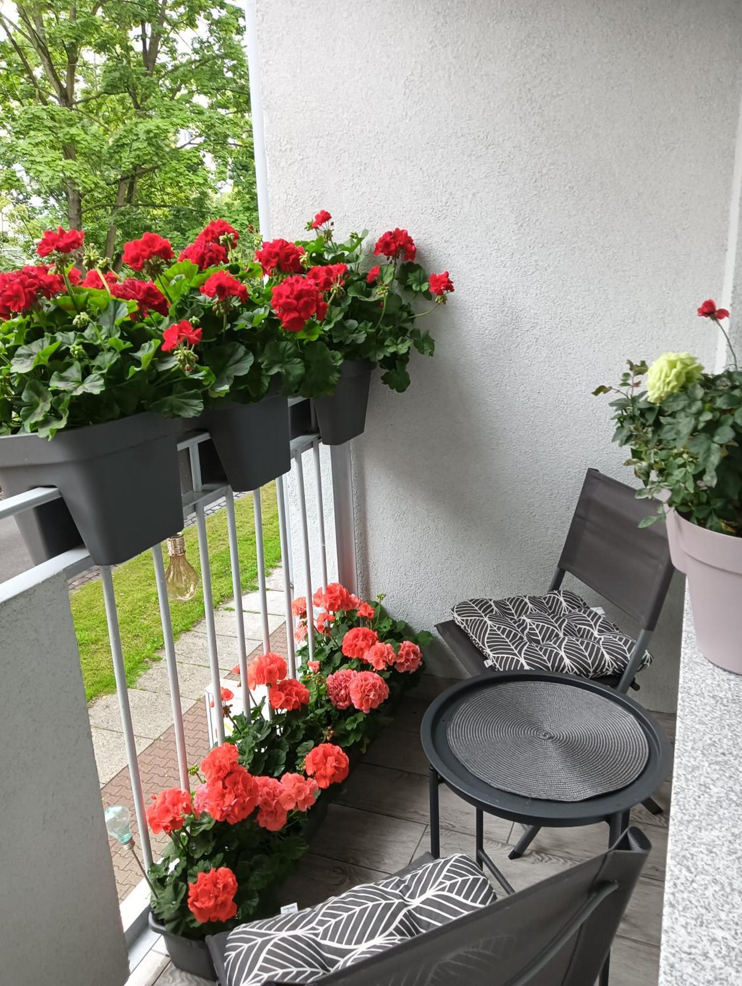 Apartament Ale Laba Kołobrzeg Exterior foto